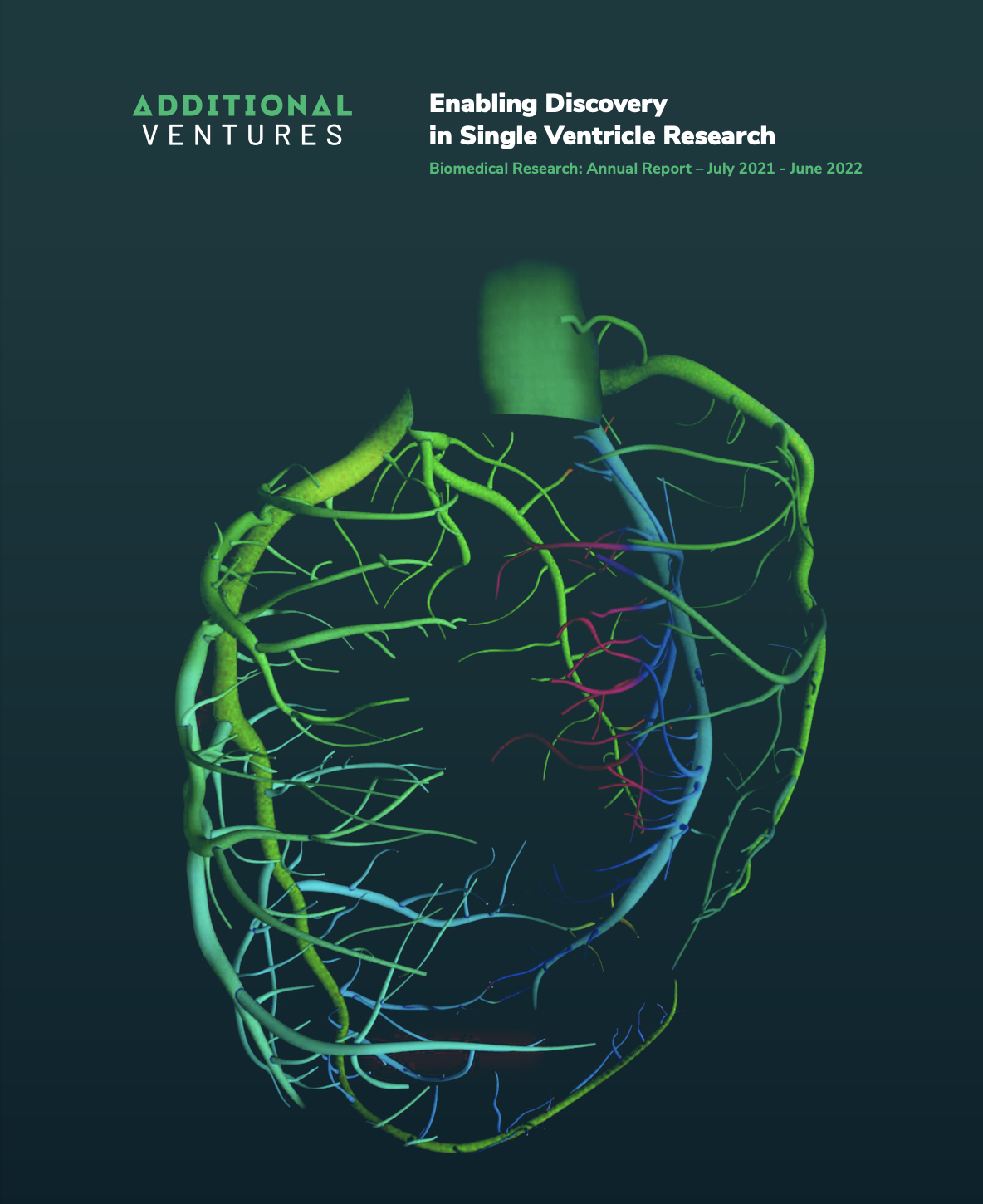 Biomedical Research Annual Report 2022
