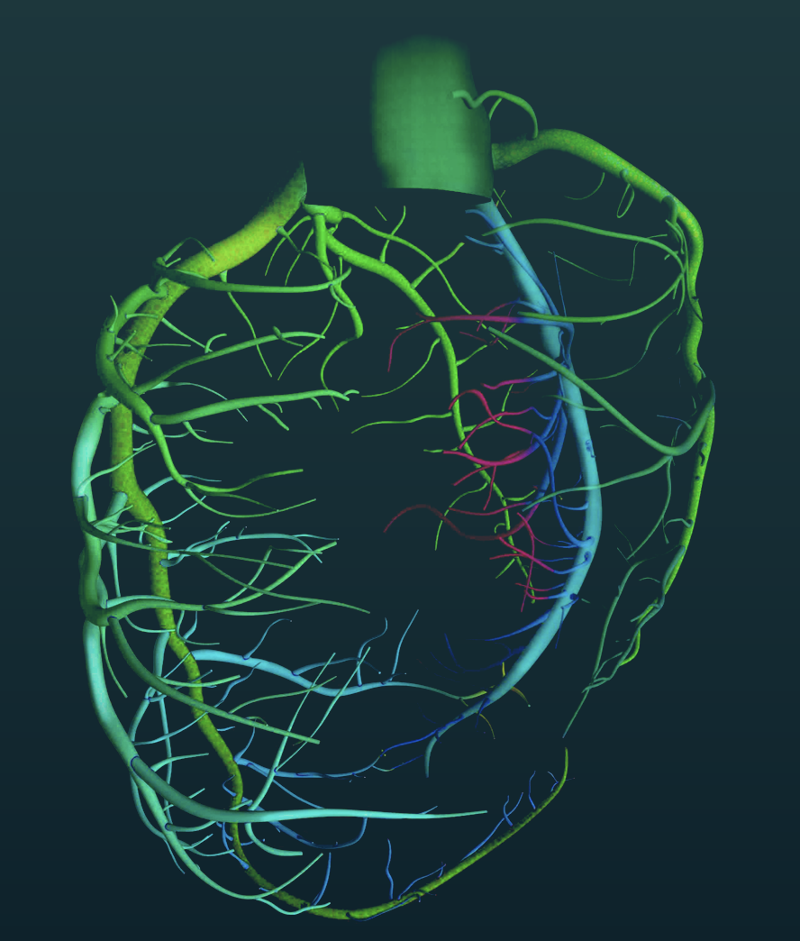 Annual Report: Enabling Discovery in Single Ventricle Research
